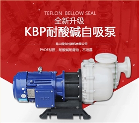 KBP塑料耐酸碱自吸泵产品图