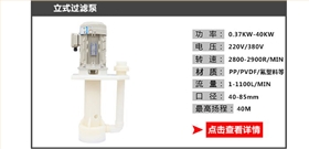 立式过滤泵