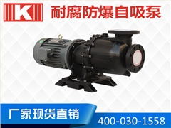 防爆耐酸碱自吸泵