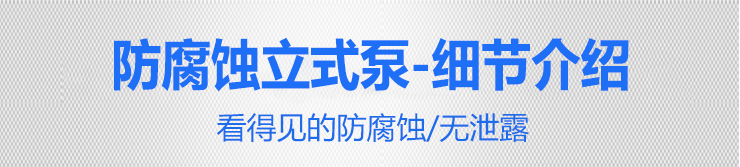 国宝立式泵_14