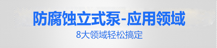 国宝立式泵_20