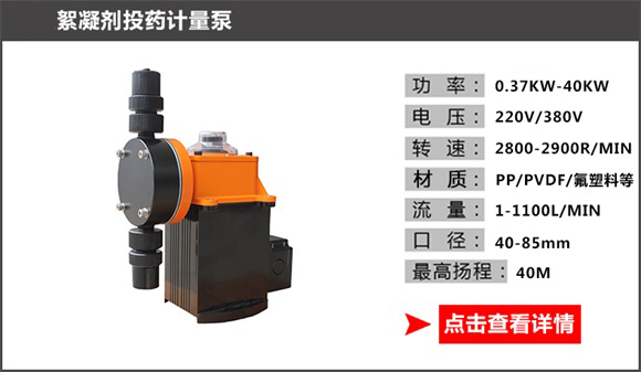 絮凝剂投药计量泵