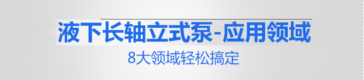 国宝KPL立式泵_08